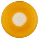 AlpiYò Yogurt di Valtellina Intero con marmellata di Arancia Amara 125 g